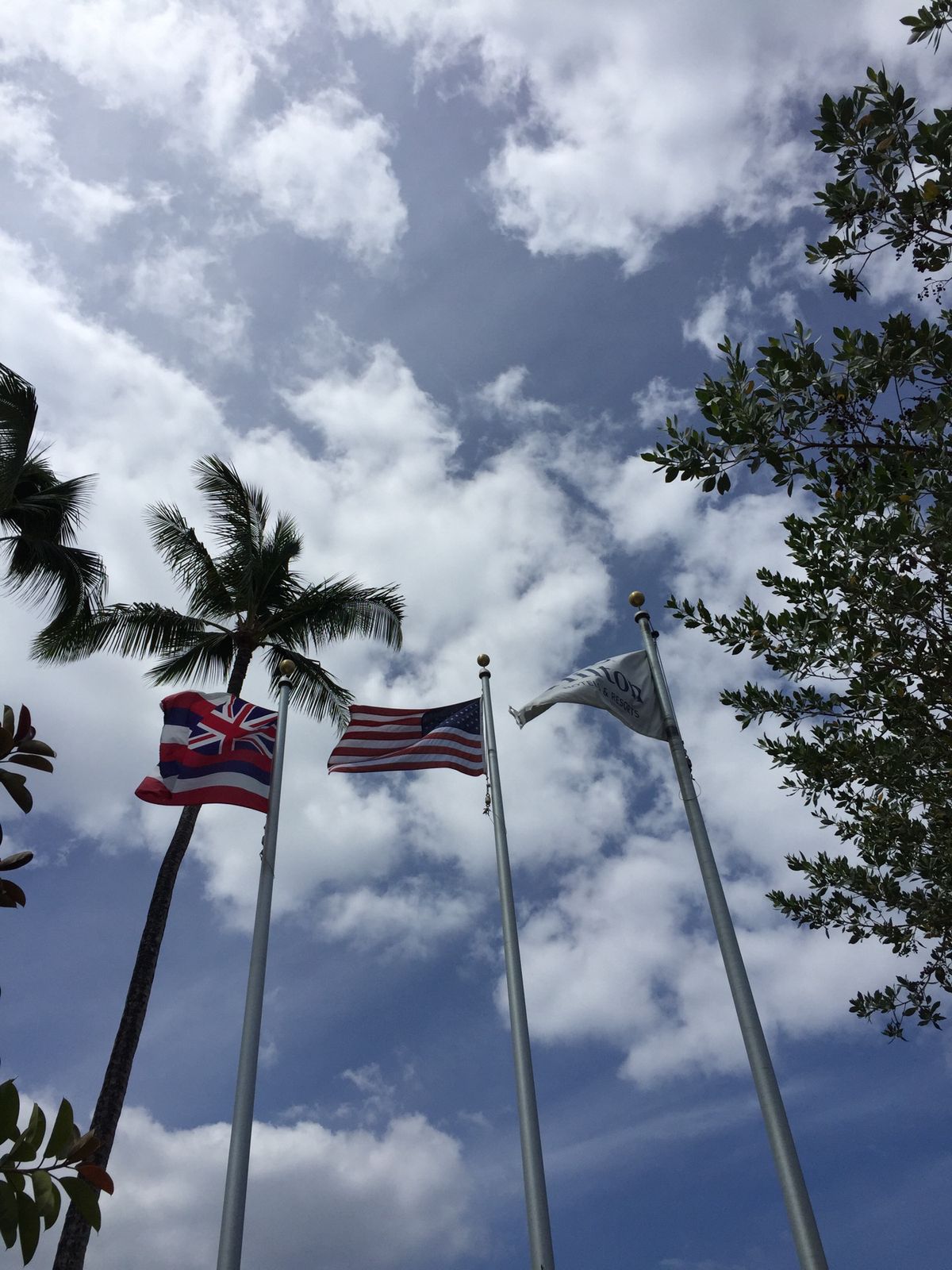 おはようございます。  3日目も朝から快晴☀️です。まずは夫婦2人朝散歩と...