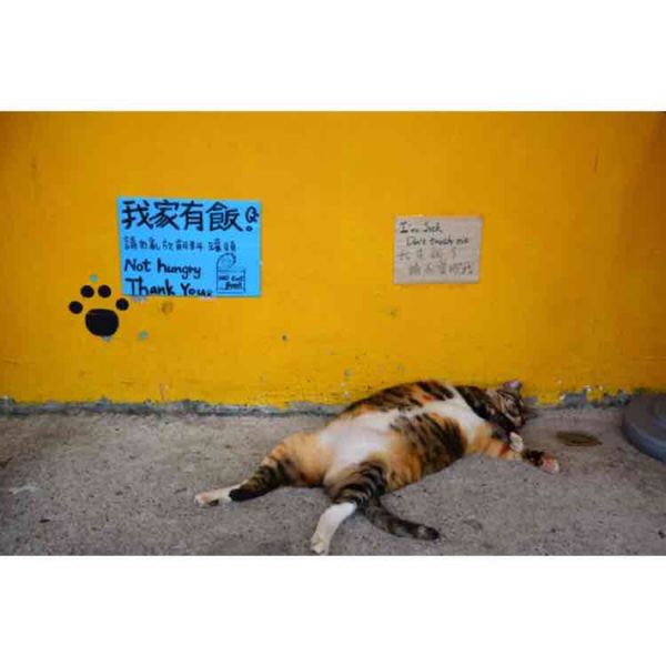 台湾・台北「Taiwan」の写真