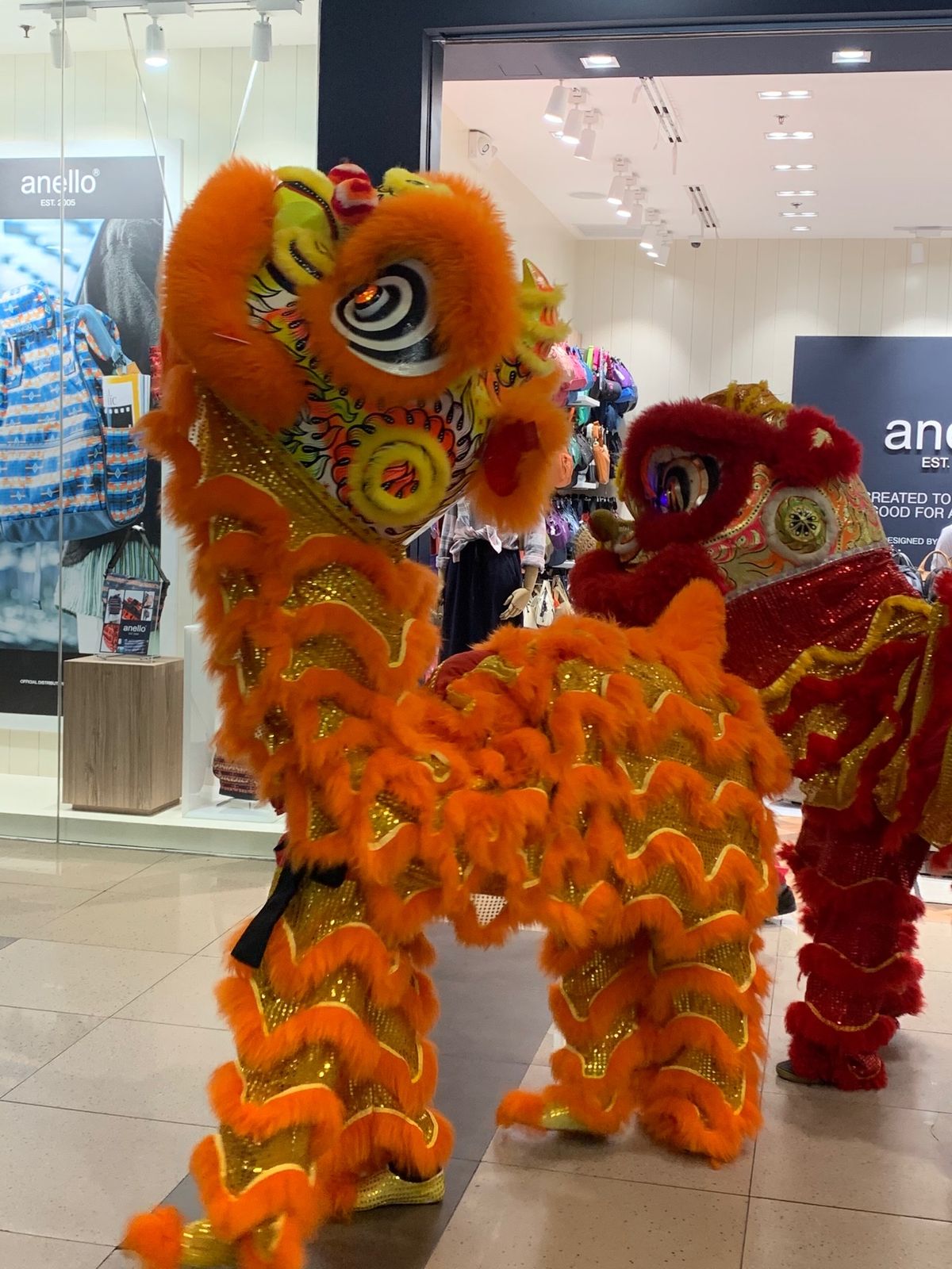 春節のライオンダンス🦁