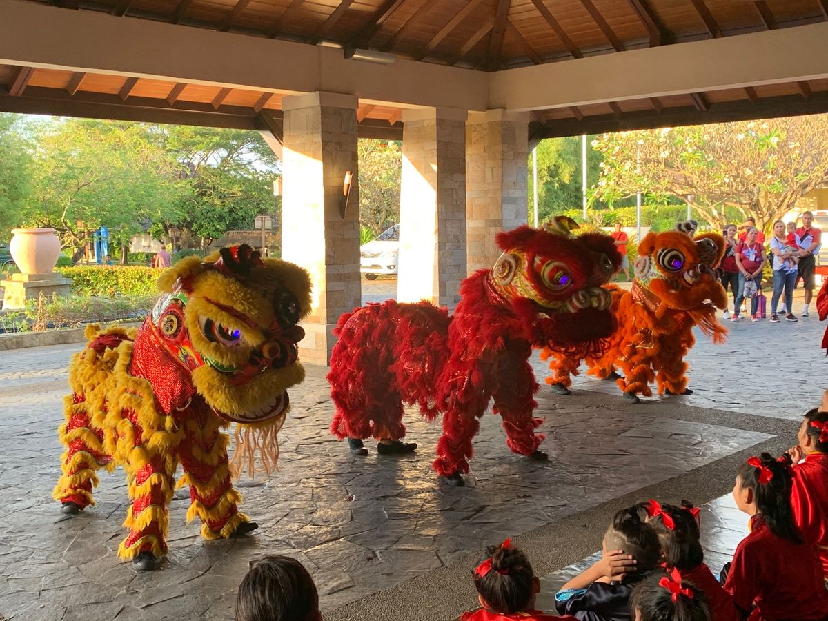 春節のライオンダンス🦁