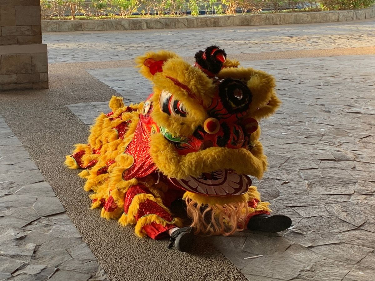 春節のライオンダンス🦁