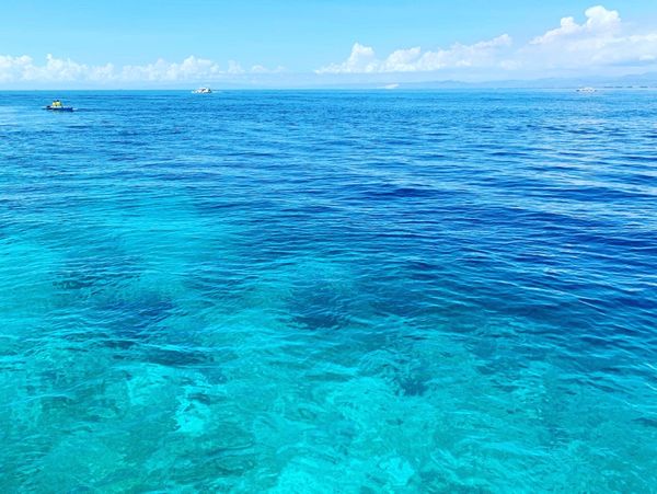 フィリピン・ナルスアン島「セブ島・ジンベイザメとシュノーケリング」の写真:海がとてもキレイでした〜♡