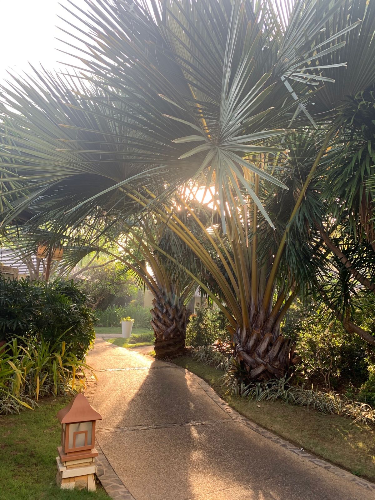 朝の景色もキレイでした♡