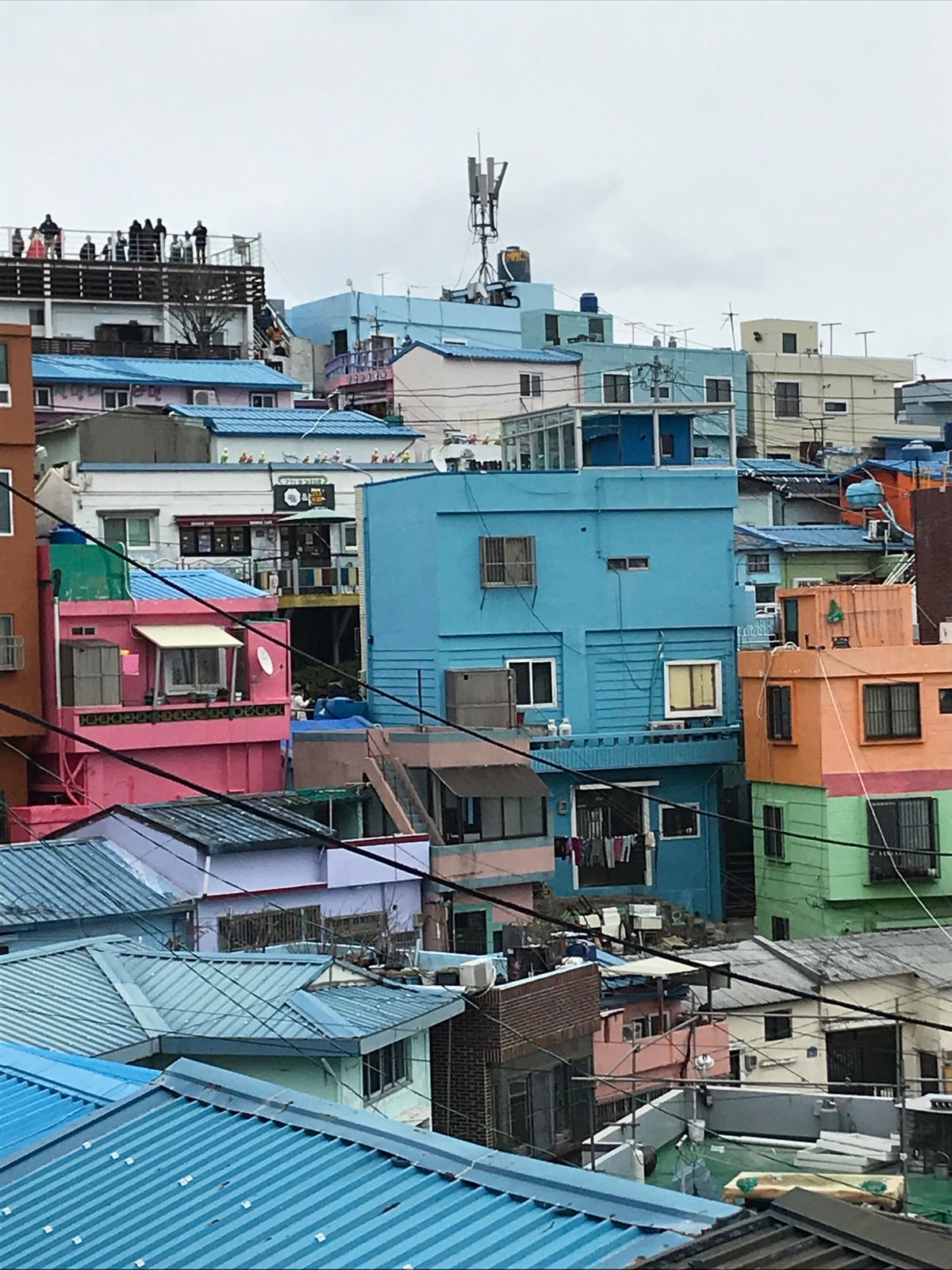 1/25、旧正月の元旦でもお店は開いていました。
普段よりは人が少なかった...