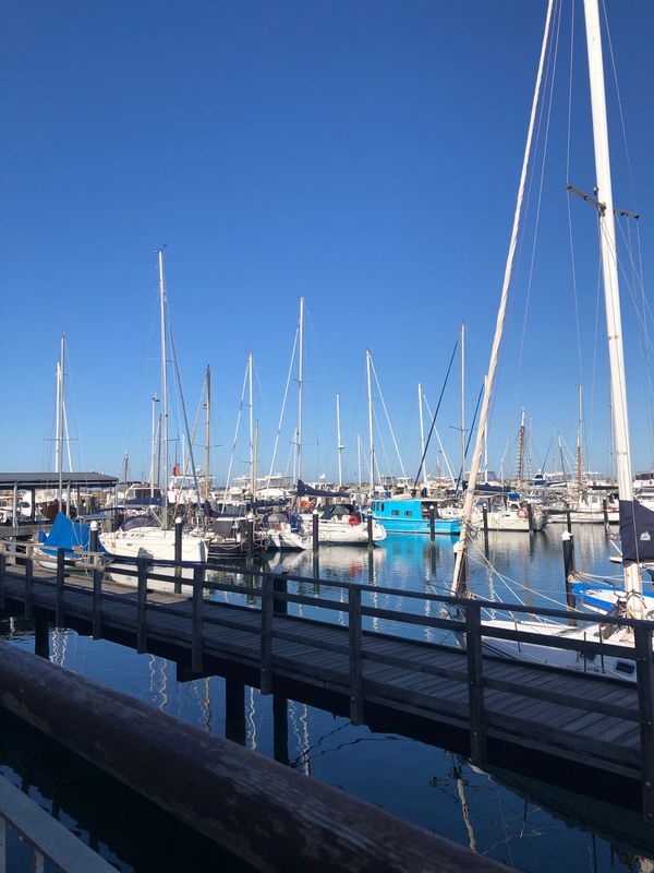 オーストラリア連邦・ロットネスト島「オーストラリア　パース」の写真