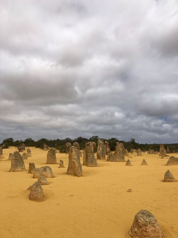 オーストラリア連邦・ロットネスト島「オーストラリア　パース」の写真