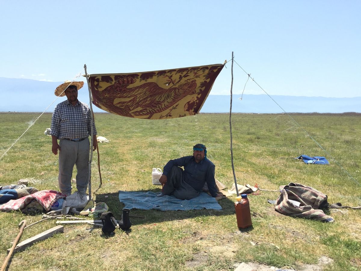 バンダレトルキャマン、散歩中に出会った羊飼いの方々にお茶に招かれ、そのまま...