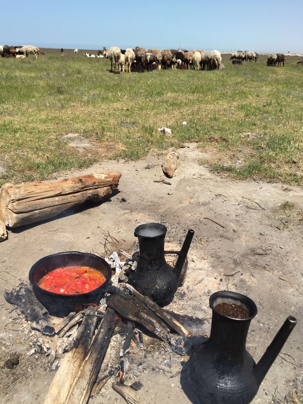 バンダレトルキャマン、散歩中に出会った羊飼いの方々にお茶に招かれ、そのまま...