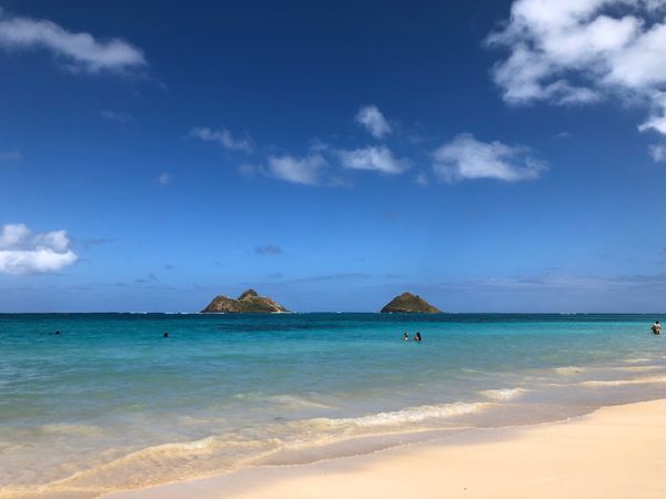 アメリカ(米国)「9年ぶりのハワイ旅行𓆉𓇼」の写真