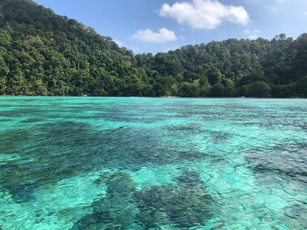 タイ「koh surin」の写真