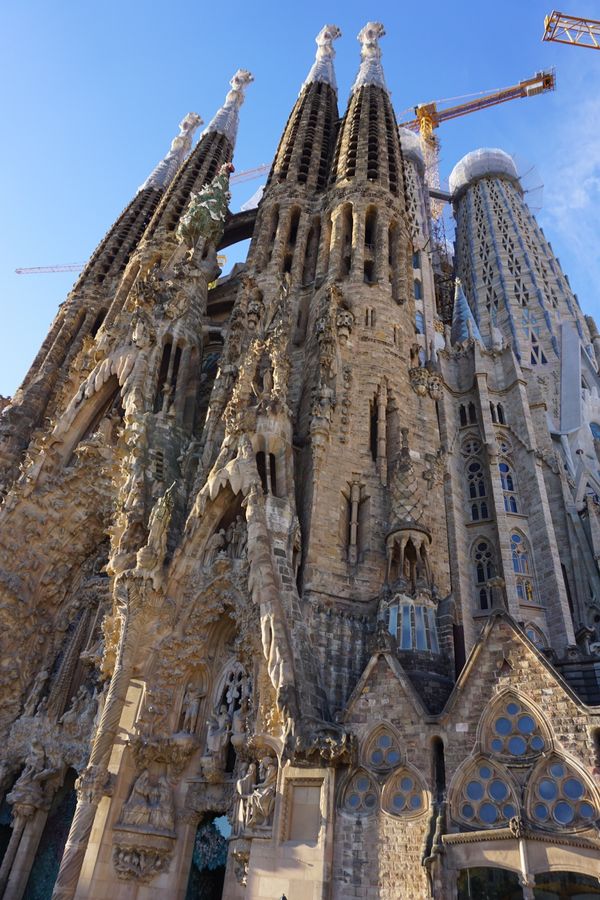 スペイン・バルセロナ「子連れ地中海クルーズ　スペイン編」の写真：分かってはいたけど圧巻！
思わず声が出て...