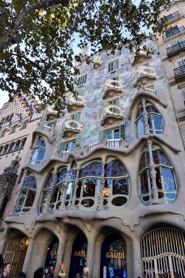 スペイン・バルセロナ「子連れ地中海クルーズ　スペイン編」の写真：カサバトリョ