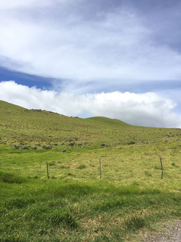 アメリカ(米国)・マウナケア「2018 大好きbigisland❤️ ハワイ島家族旅行」の写真：お腹を満たしたところで、コハラマウンテン...