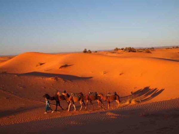モロッコ「Morocco🇲🇦」の写真：ラクダで砂漠散歩🏜と朝焼け🧡