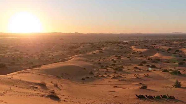 モロッコ「Morocco🇲🇦」の写真：砂漠で初日の出🌅と私が乗ったかわい子ちゃん🐪🧡