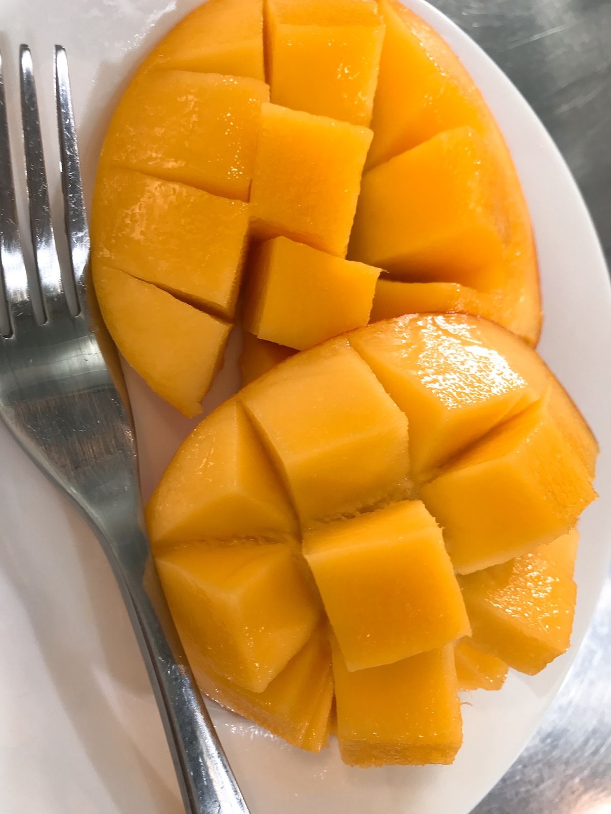 ゴールドコースト