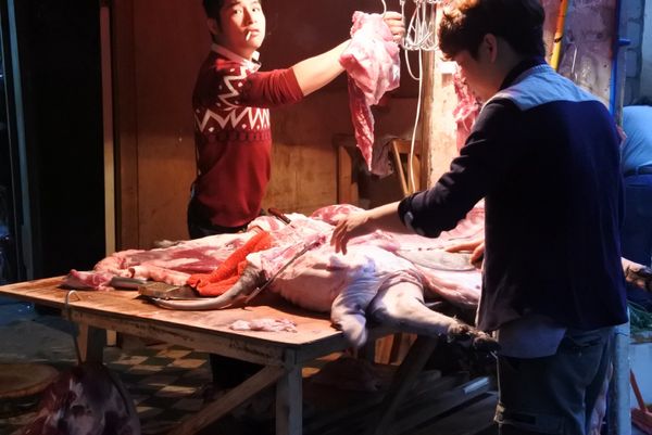 中国・広州「中国🇨🇳」の写真