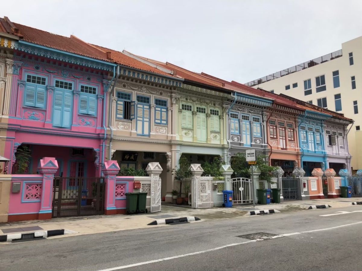 ナイトサファリでのベンガル写真は動きが速すぎてぶれる。