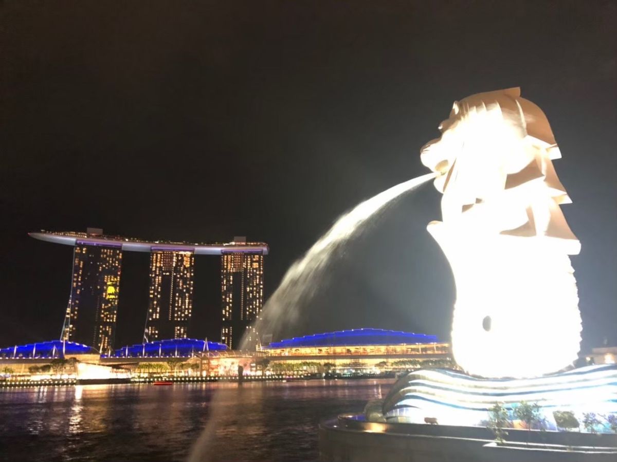 ナイトサファリでのベンガル写真は動きが速すぎてぶれる。