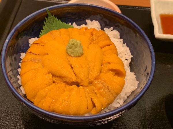 日本「北海道」の写真：👏💯