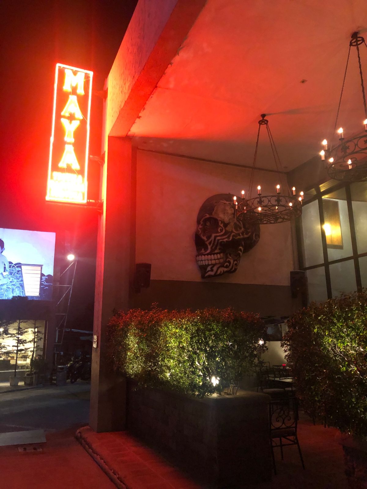 メキシコ料理など。