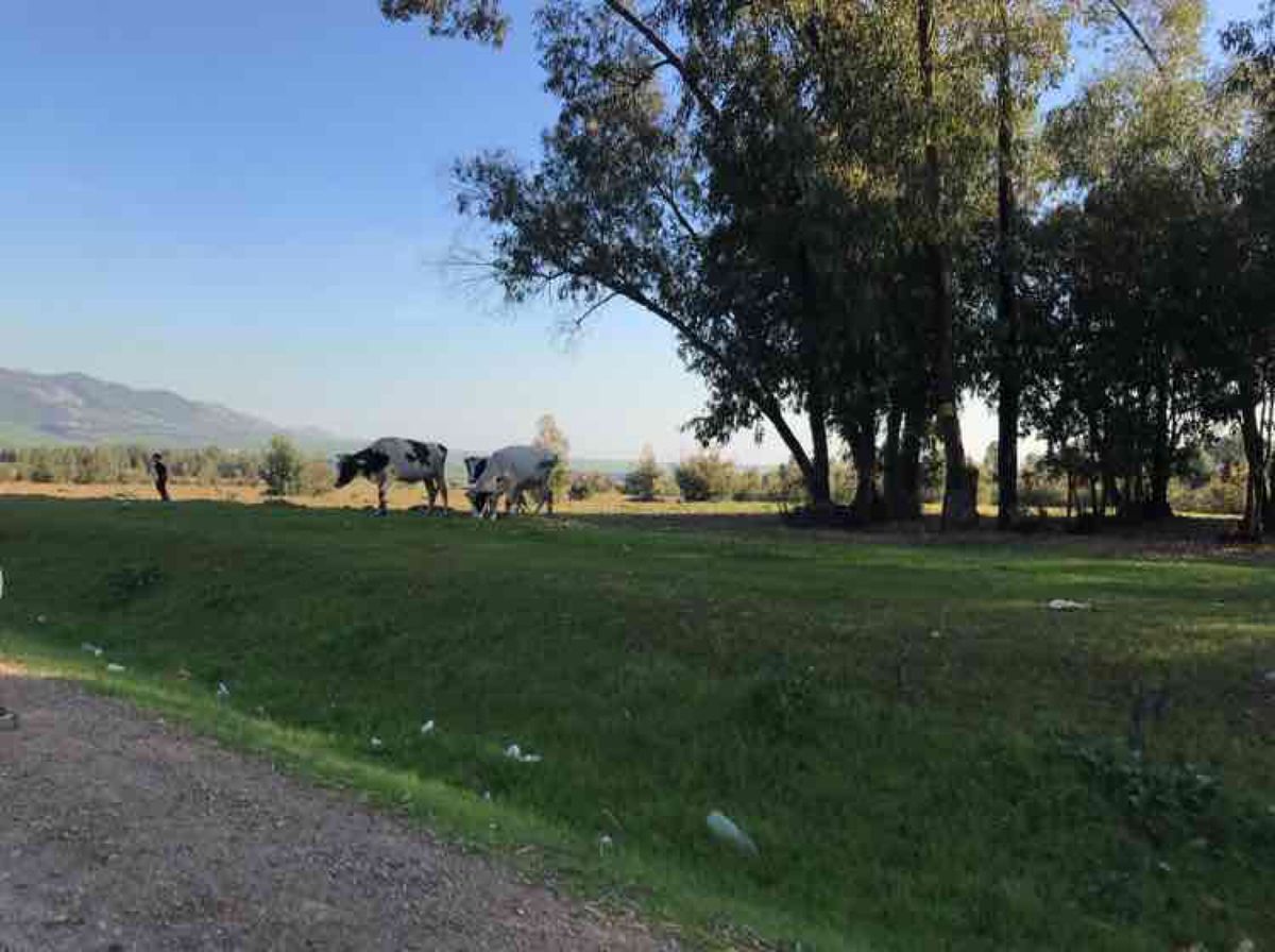 ドライブ途中の絶景☆
