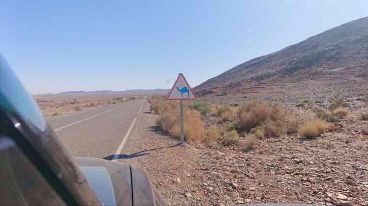 移動中の絶景☆