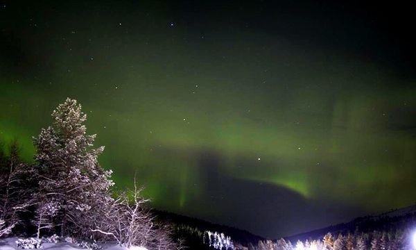 フィンランド・サーリセルカ「フィンランド🇫🇮サーリセルカ」の写真