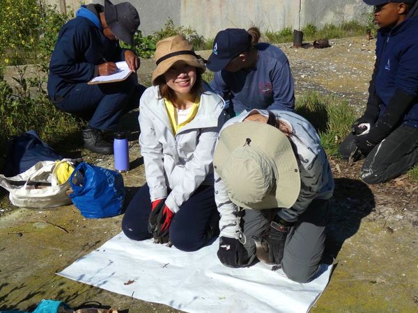 南アフリカ・ケープタウン「ペンギン調査に参加！」の写真：ペンギン🐧の扱いにもだいぶ慣れてきた頃
...