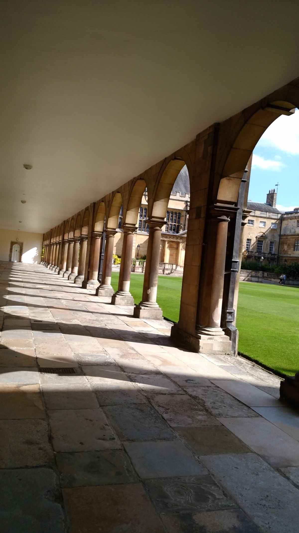 ニュートンが万有引力について閃いたと言われているりんごの木や音速について理...