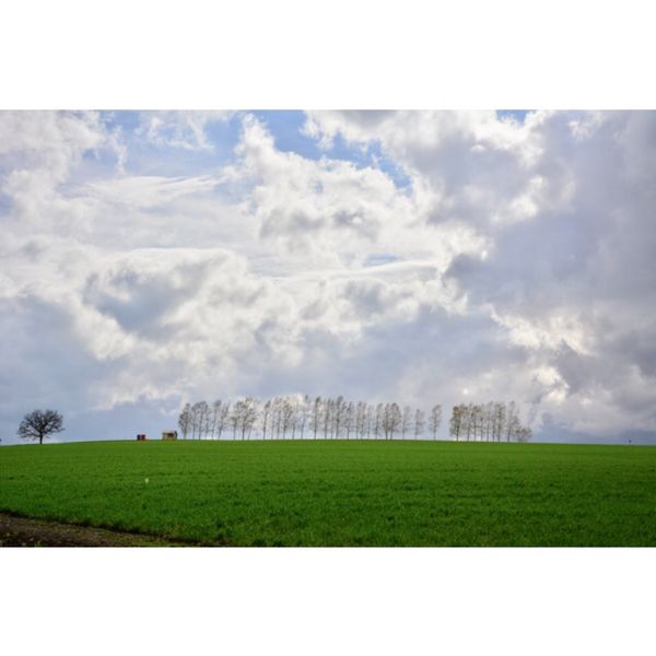 日本・函館「北海道」の写真