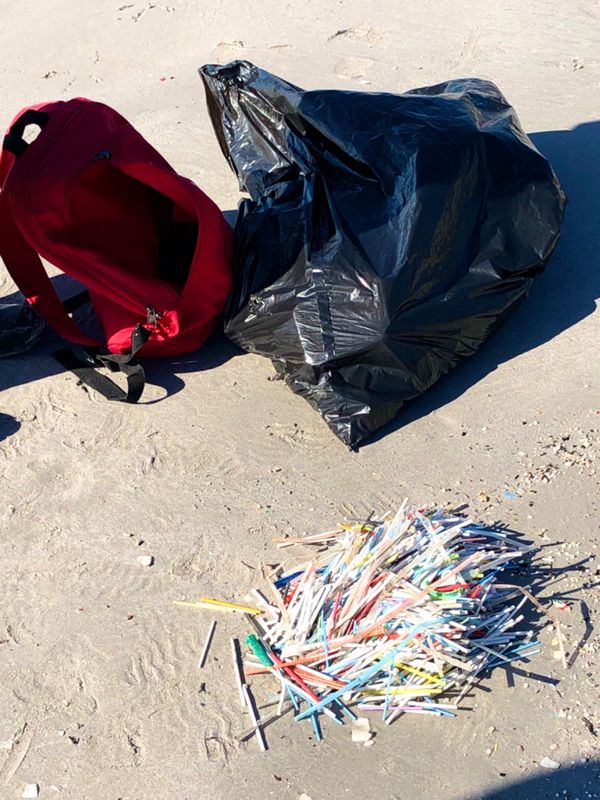 南アフリカ・ケープタウン「ペンギン調査に参加！」の写真：この日はビーチの清掃からスタート

...