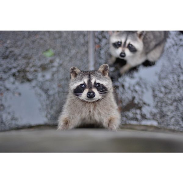日本・伊東「伊東」の写真