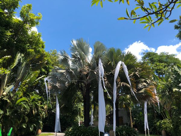 インドネシア「Bali」の写真：2/21
シーウォーカー初体験。綺麗な魚...