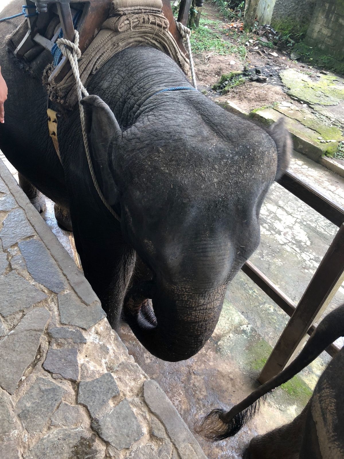 2/21
シーウォーカー初体験。綺麗な魚、可愛い魚と戯れてエサをあげたりと...