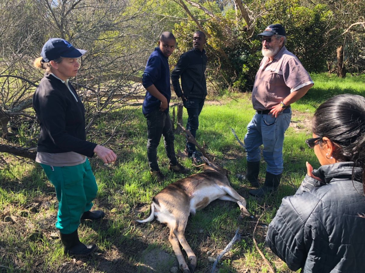 ビーチで集めたゴミをゴミ捨て場へ持って行ったとき、別の研究グループに声をか...