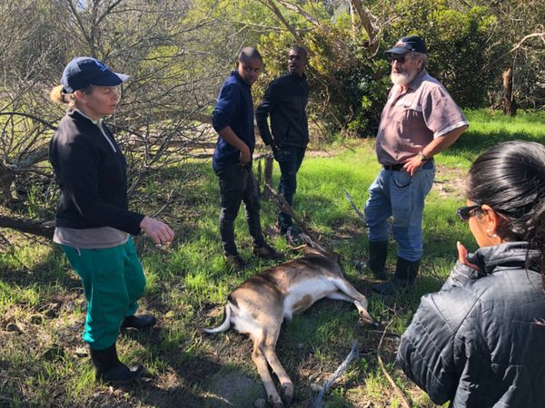 南アフリカ・ケープタウン「ペンギン調査に参加！」の写真：ビーチで集めたゴミをゴミ捨て場へ持って行...