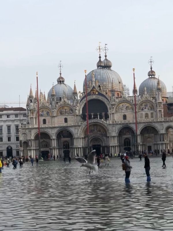 ミラノ、ヴェネチア、フィレンツェ 、ピサ、ローマ「イタリア縦断ツアー」の写真：ミラノを後にしてイタロで訪れたのはヴェネ...