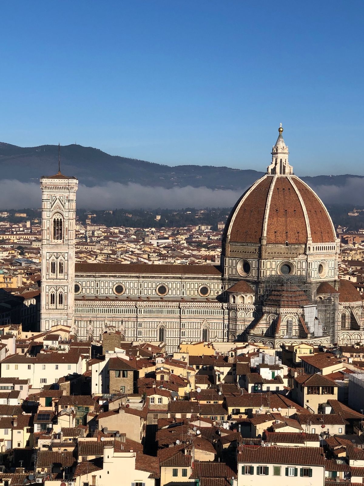 フィレンツェのイルビゾンテの本店でお得にバックをGETし、意気揚々と歩いて...