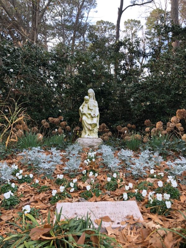 アメリカ(米国)・バージニア「初1人での飛行機」の写真