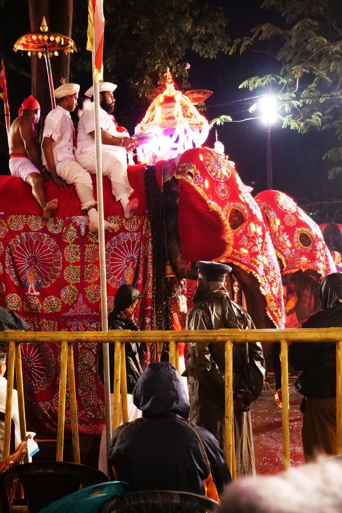 キャンディの町で８月なかばに開催されるペラヘラ祭り。
ゾウが音楽と共に行進...