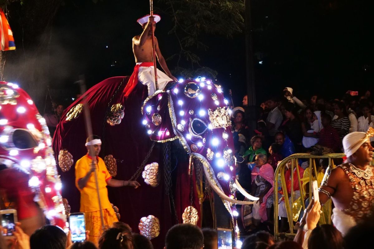 キャンディの町で８月なかばに開催されるペラヘラ祭り。
ゾウが音楽と共に行進...