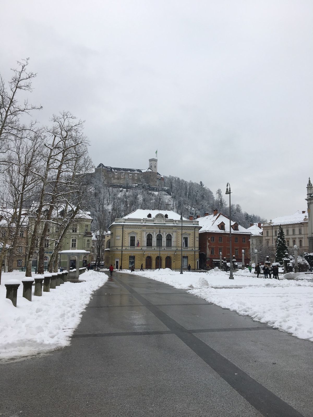 大雪のリュブリャーナ
ドラゴンにも雪
