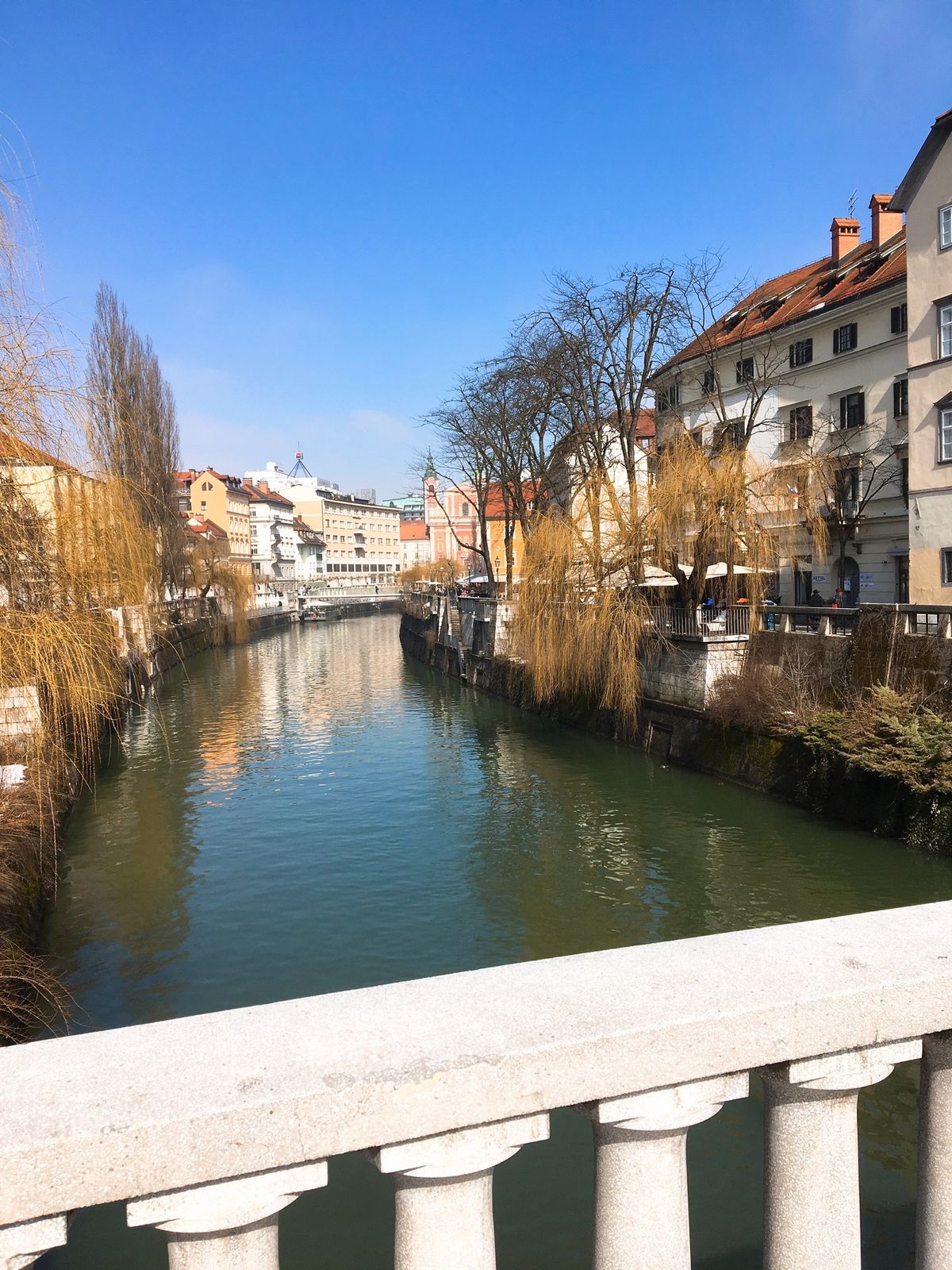 雪溶け。
cafe zvezdaのケーキはいつ来ても美味しい。