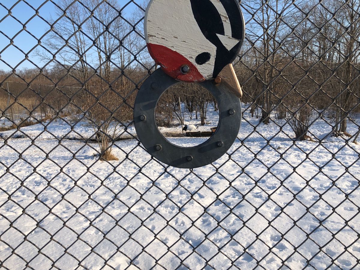 釧路食い倒れ旅♡
タンチョウ鶴は初めて見た！
そのあとはひたすら食べるオン...