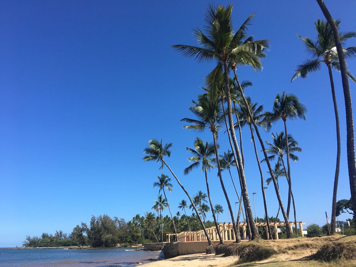 ノースショア方面ドライブ🚗💨💨
ジューシーなハンバーガー美味しすぎる🍔
に...