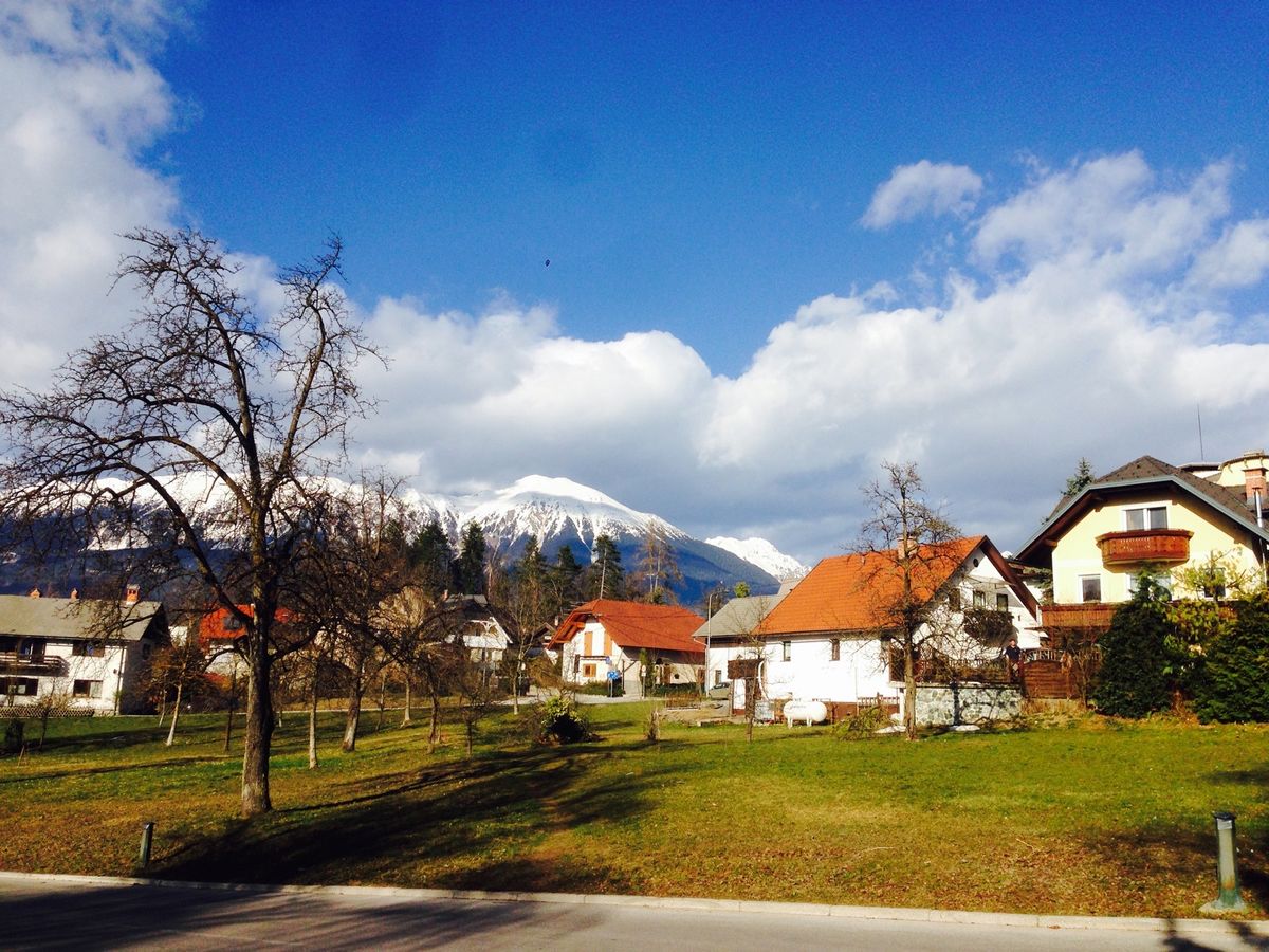 ブレッドへ。
ここにきたらクレムシュニタ（ケーキ）はマストです。