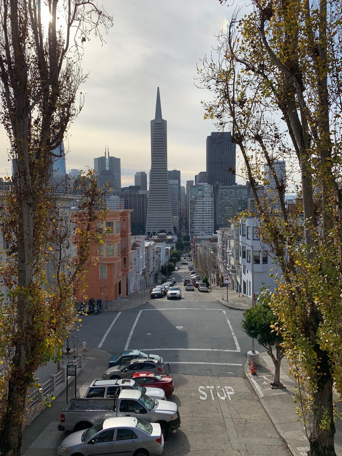 港から、坂道をひたすら登って。