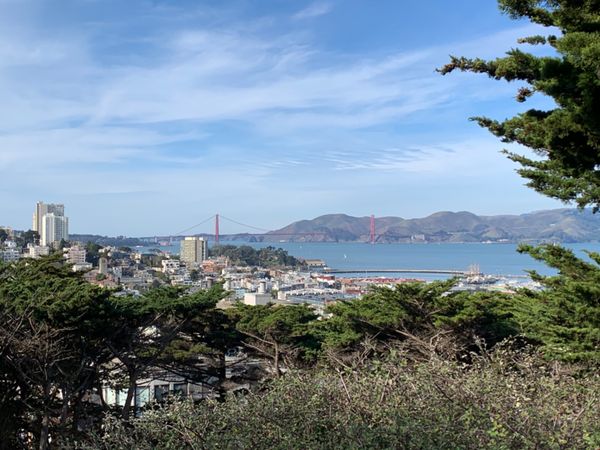 アメリカ(米国)・サンフランシスコ「サンフランシスコ巡り」の写真：Coit Towerの周辺もいい感じ。ゴ...