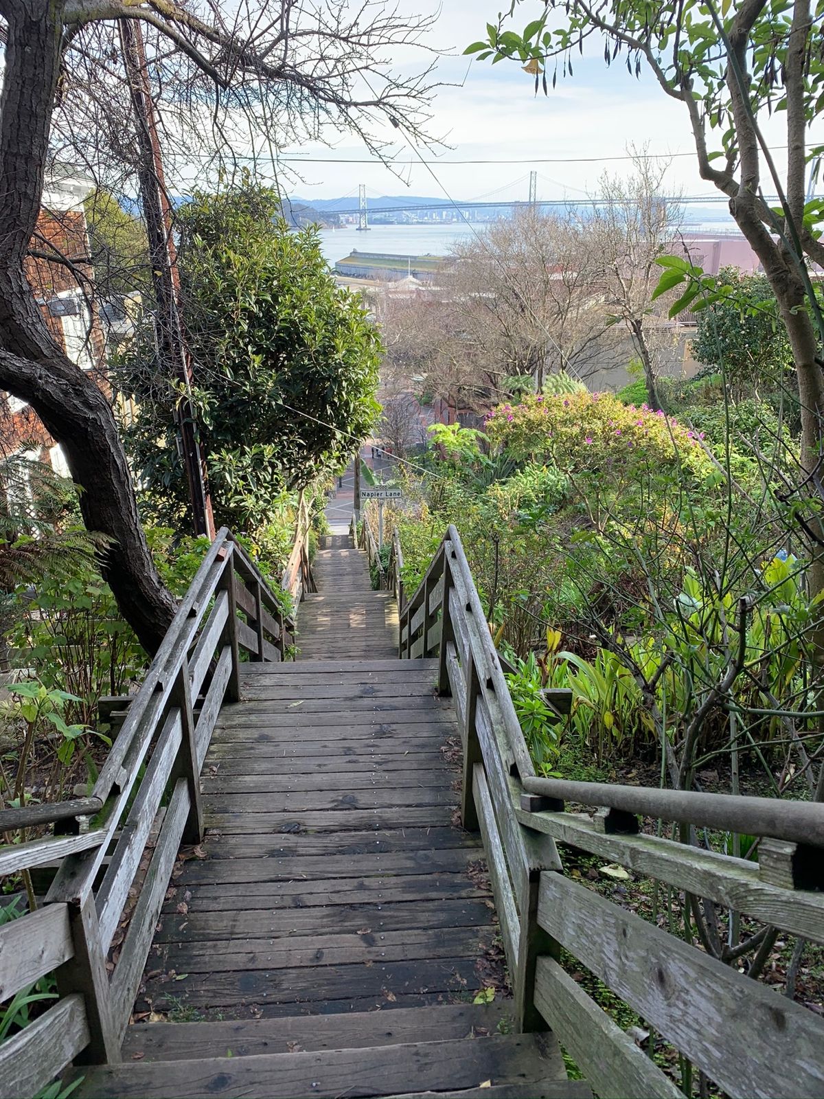 Coit Towerの周辺もいい感じ。ゴールデンゲートブリッジも遠くに。